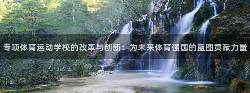 专项体育运动学校的改革与创新：为未来体育强国的蓝图贡献力量
