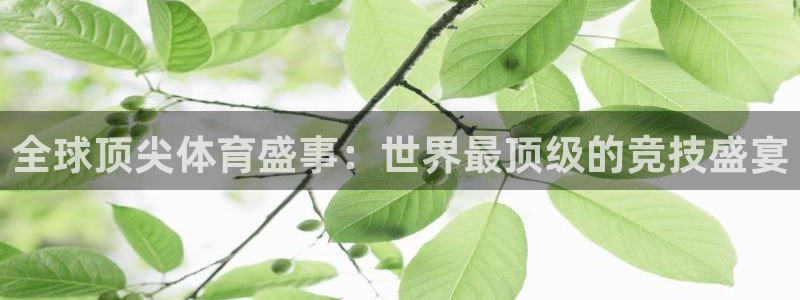 全球顶尖体育盛事：世界最顶级的竞技盛宴