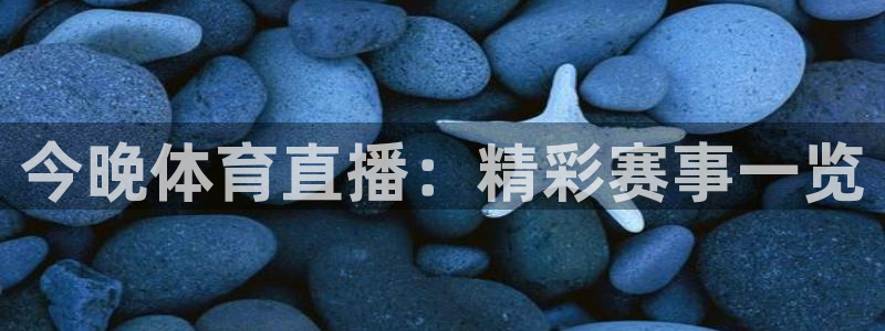 今晚体育直播：精彩赛事一览