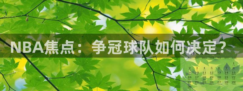 NBA焦点：争冠球队如何决定？
