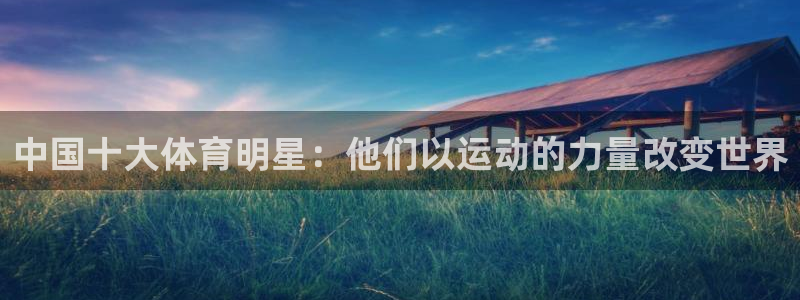 中国十大体育明星：他们以运动的力量改变世界