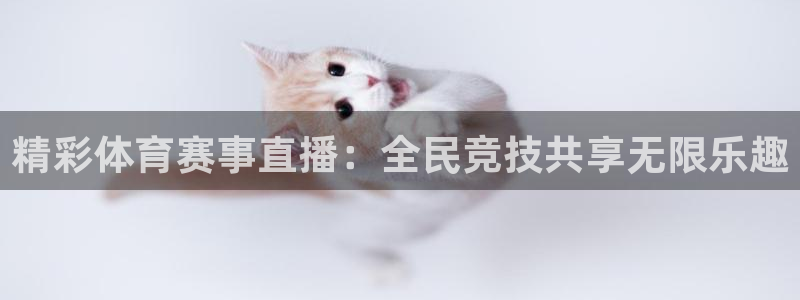 精彩体育赛事直播：全民竞技共享无限乐趣