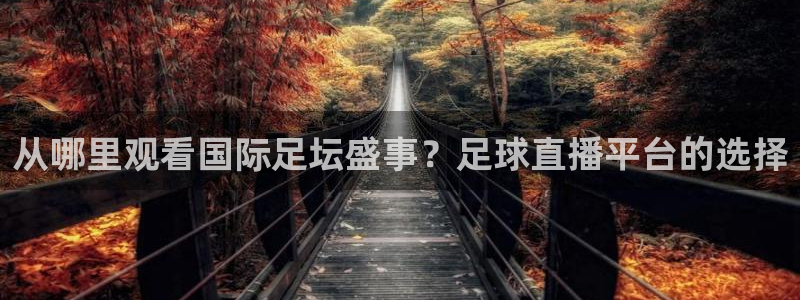 从哪里观看国际足坛盛事？足球直播平台的选择