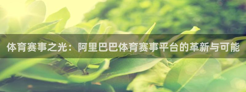 体育赛事之光：阿里巴巴体育赛事平台的革新与可能