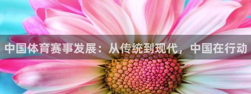中国体育赛事发展：从传统到现代，中国在行动
