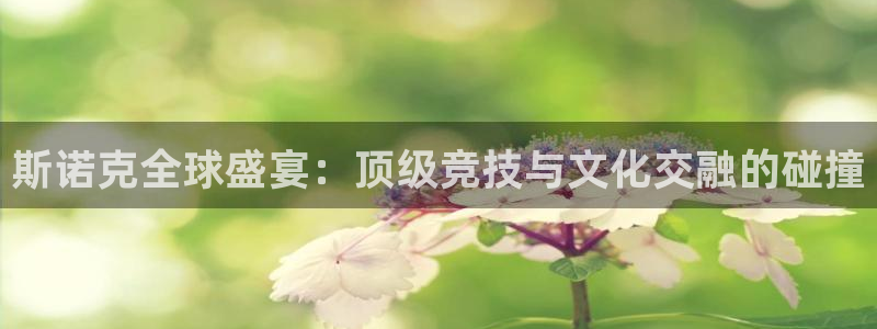 斯诺克全球盛宴：顶级竞技与文化交融的碰撞