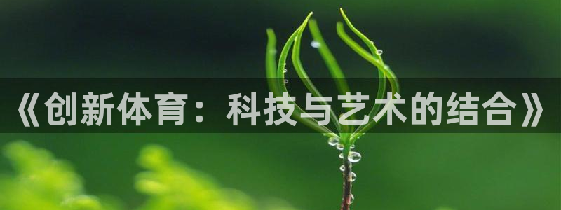 《创新体育：科技与艺术的结合》